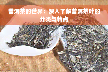 普洱茶的世界：深入了解普洱茶叶的分类与特点