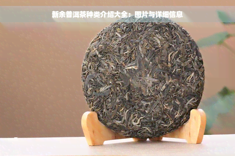 新余普洱茶种类介绍大全：图片与详细信息