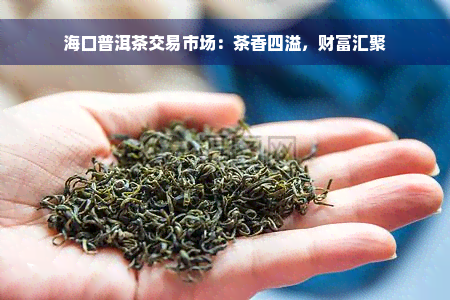 海口普洱茶交易市场：茶香四溢，财富汇聚