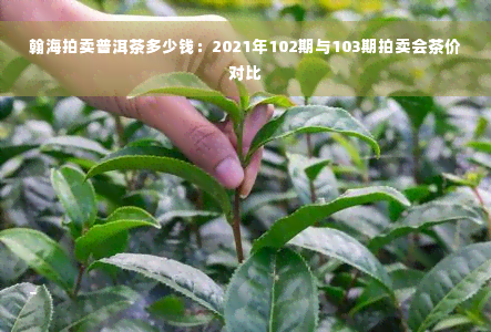 翰海拍卖普洱茶多少钱：2021年102期与103期拍卖会茶价对比