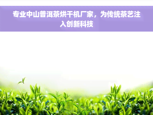 专业中山普洱茶烘干机厂家，为传统茶艺注入创新科技