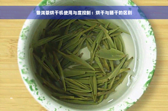 普洱茶烘干机使用与度控制：烘干与晒干的区别