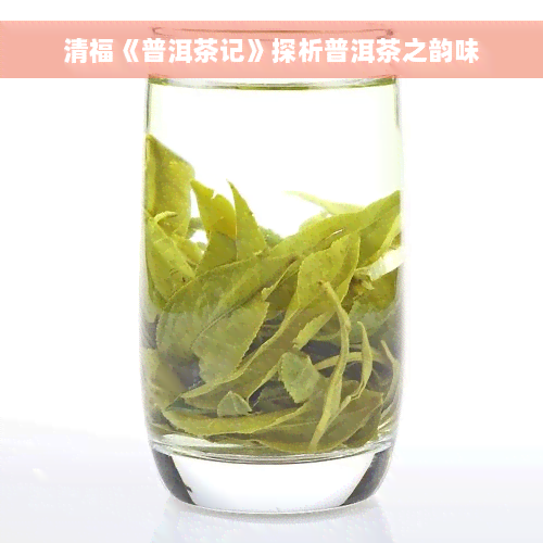 清福《普洱茶记》探析普洱茶之韵味