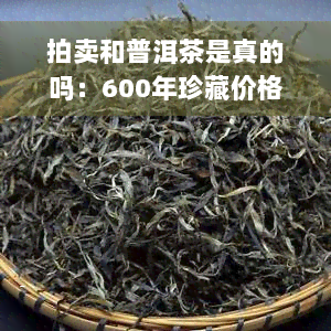 拍卖和普洱茶是真的吗：600年珍藏价格与赐瓷器拍卖