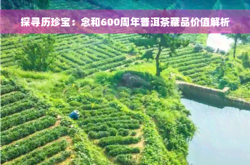 探寻历珍宝：念和600周年普洱茶藏品价值解析