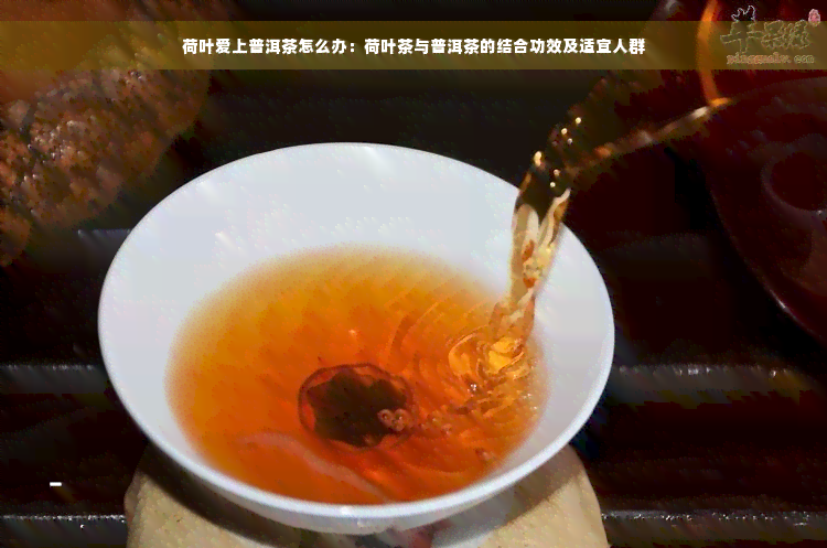 荷叶爱上普洱茶怎么办：荷叶茶与普洱茶的结合功效及适宜人群