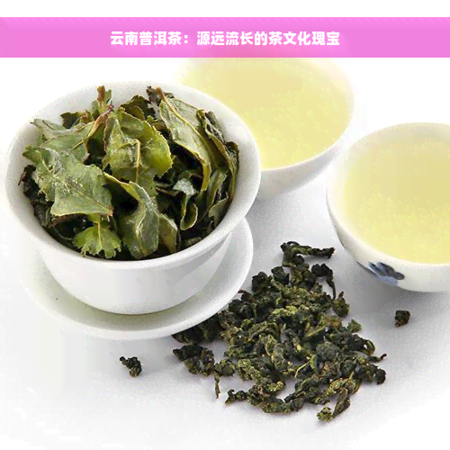 云南普洱茶：源远流长的茶文化瑰宝