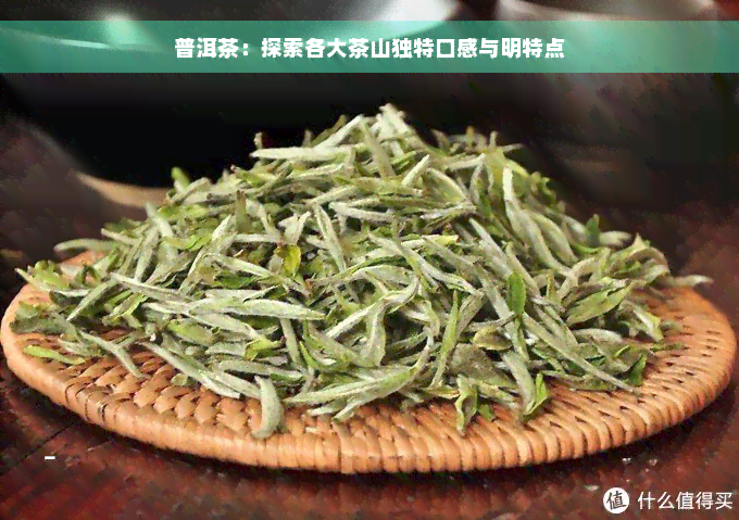 普洱茶：探索各大茶山独特口感与明特点