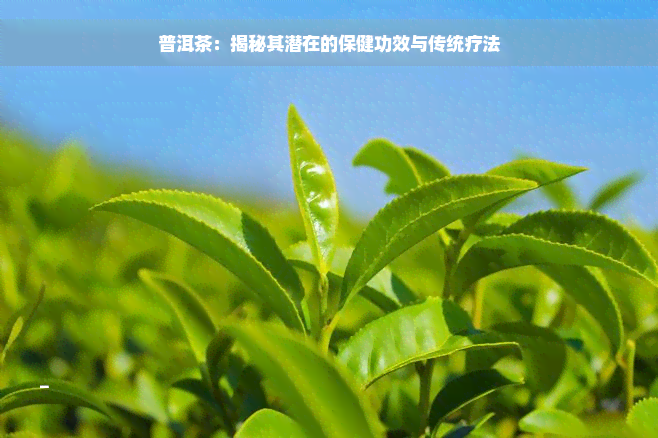 普洱茶：揭秘其潜在的保健功效与传统疗法