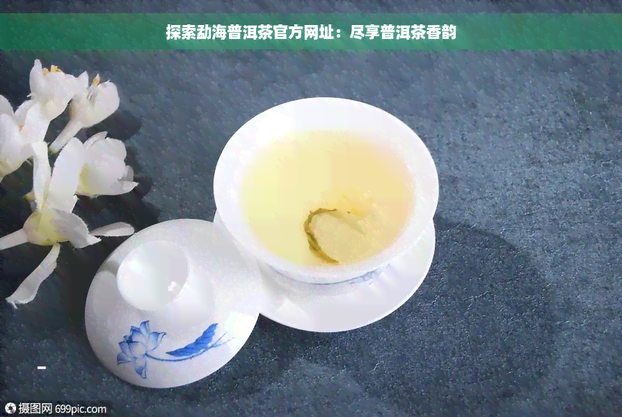 探索勐海普洱茶官方网址：尽享普洱茶香韵