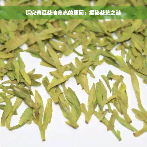 探究普洱茶油亮亮的原因：揭秘茶艺之谜