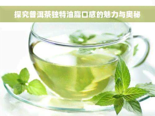 探究普洱茶独特油脂口感的魅力与奥秘