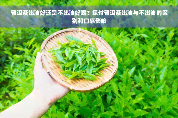 普洱茶出油好还是不出油好喝？探讨普洱茶出油与不出油的区别和口感影响