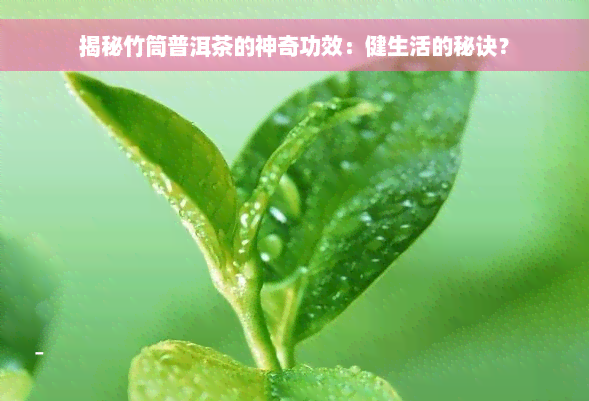 揭秘竹筒普洱茶的神奇功效：健生活的秘诀？