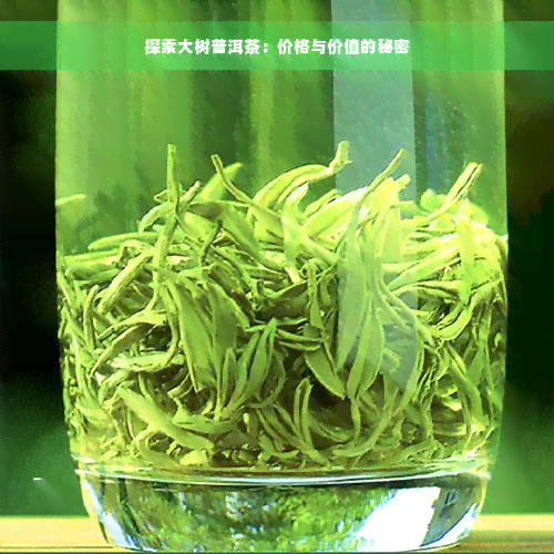 探索大树普洱茶：价格与价值的秘密