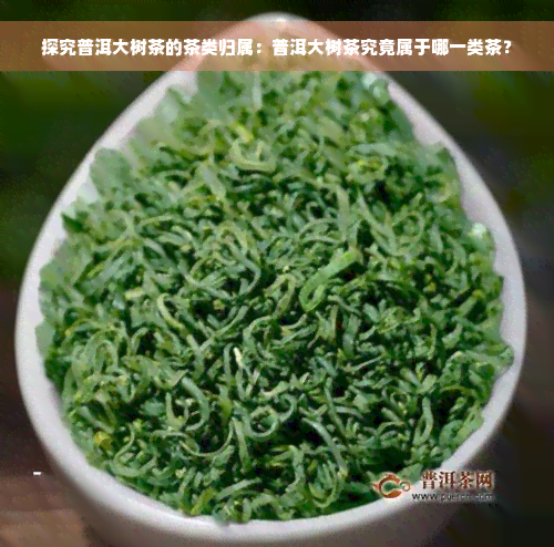 探究普洱大树茶的茶类归属：普洱大树茶究竟属于哪一类茶？