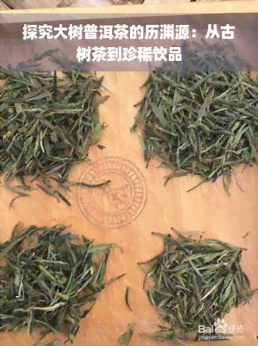 探究大树普洱茶的历渊源：从古树茶到珍稀饮品