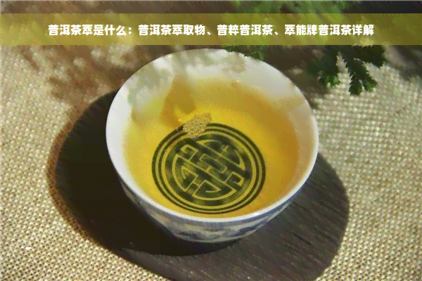 普洱茶萃是什么：普洱茶萃取物、普粹普洱茶、萃能牌普洱茶详解