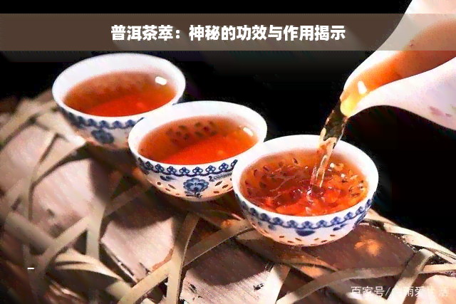 普洱茶萃：神秘的功效与作用揭示