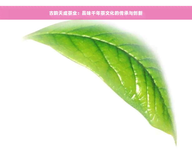 古韵天成茶业：品味千年茶文化的传承与创新