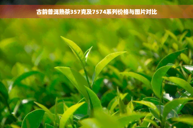 古韵普洱熟茶357克及7574系列价格与图片对比