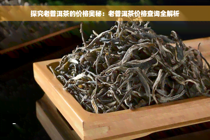 探究老普洱茶的价格奥秘：老普洱茶价格查询全解析