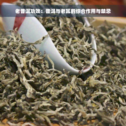 老普洱功效：普洱与老耳的综合作用与禁忌