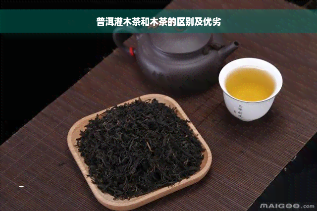 普洱灌木茶和木茶的区别及优劣