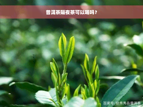 普洱茶隔夜茶可以喝吗？