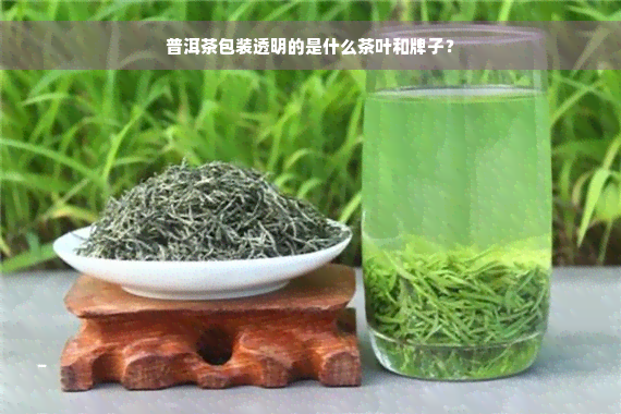 普洱茶包装透明的是什么茶叶和牌子？