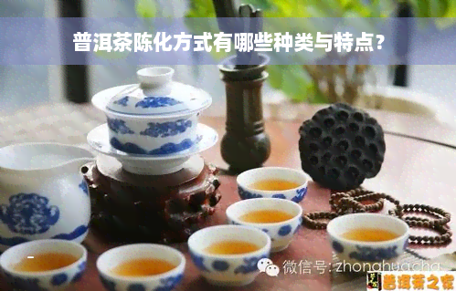 普洱茶陈化方式有哪些种类与特点？