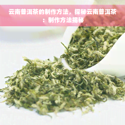 云南普洱茶的制作方法，探秘云南普洱茶：制作方法揭秘