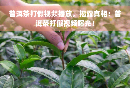 普洱茶打假视频播放，揭露真相：普洱茶打假视频曝光！