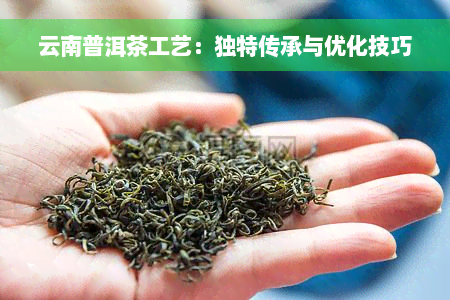 云南普洱茶工艺：独特传承与优化技巧