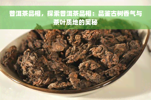 普洱茶品相，探索普洱茶品相：品鉴古树香气与茶叶质地的奥秘