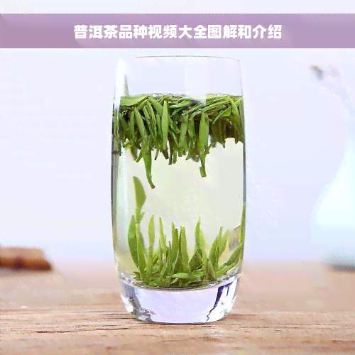 普洱茶品种视频大全图解和介绍