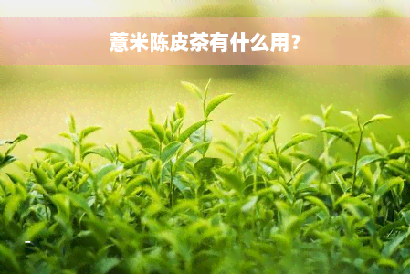 薏米陈皮茶有什么用？