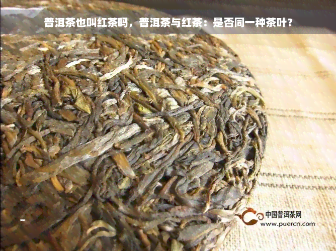 普洱茶也叫红茶吗，普洱茶与红茶：是否同一种茶叶？