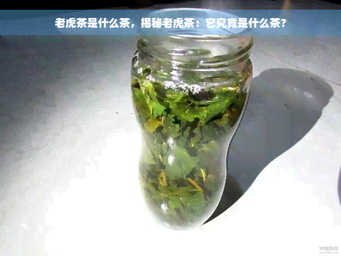 老虎茶是什么茶，揭秘老虎茶：它究竟是什么茶？