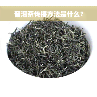 普洱茶传播方法是什么？