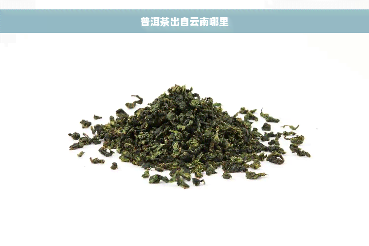 普洱茶出自云南哪里