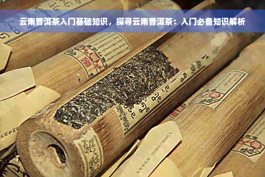 云南普洱茶入门基础知识，探寻云南普洱茶：入门必备知识解析