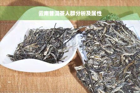 云南普洱茶人群分析及属性