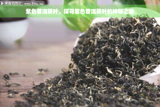 紫色普洱茶叶，探寻紫色普洱茶叶的神秘之旅