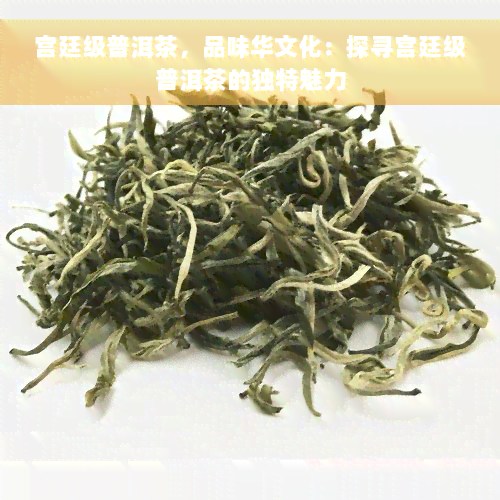 宫廷级普洱茶，品味华文化：探寻宫廷级普洱茶的独特魅力