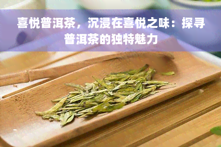 喜悦普洱茶，沉浸在喜悦之味：探寻普洱茶的独特魅力