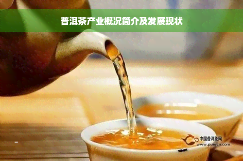 普洱茶产业概况简介及发展现状