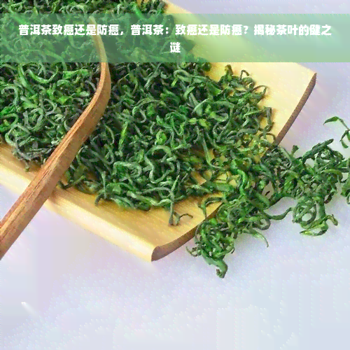 普洱茶致癌还是防癌，普洱茶：致癌还是防癌？揭秘茶叶的健之谜