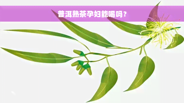 普洱熟茶孕妇能喝吗？