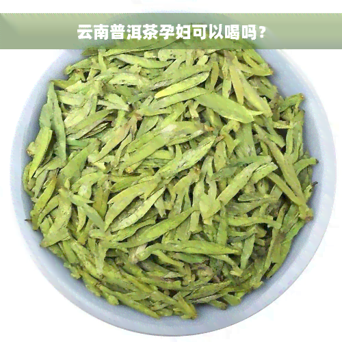 云南普洱茶孕妇可以喝吗？